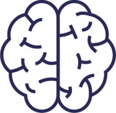 brain icon