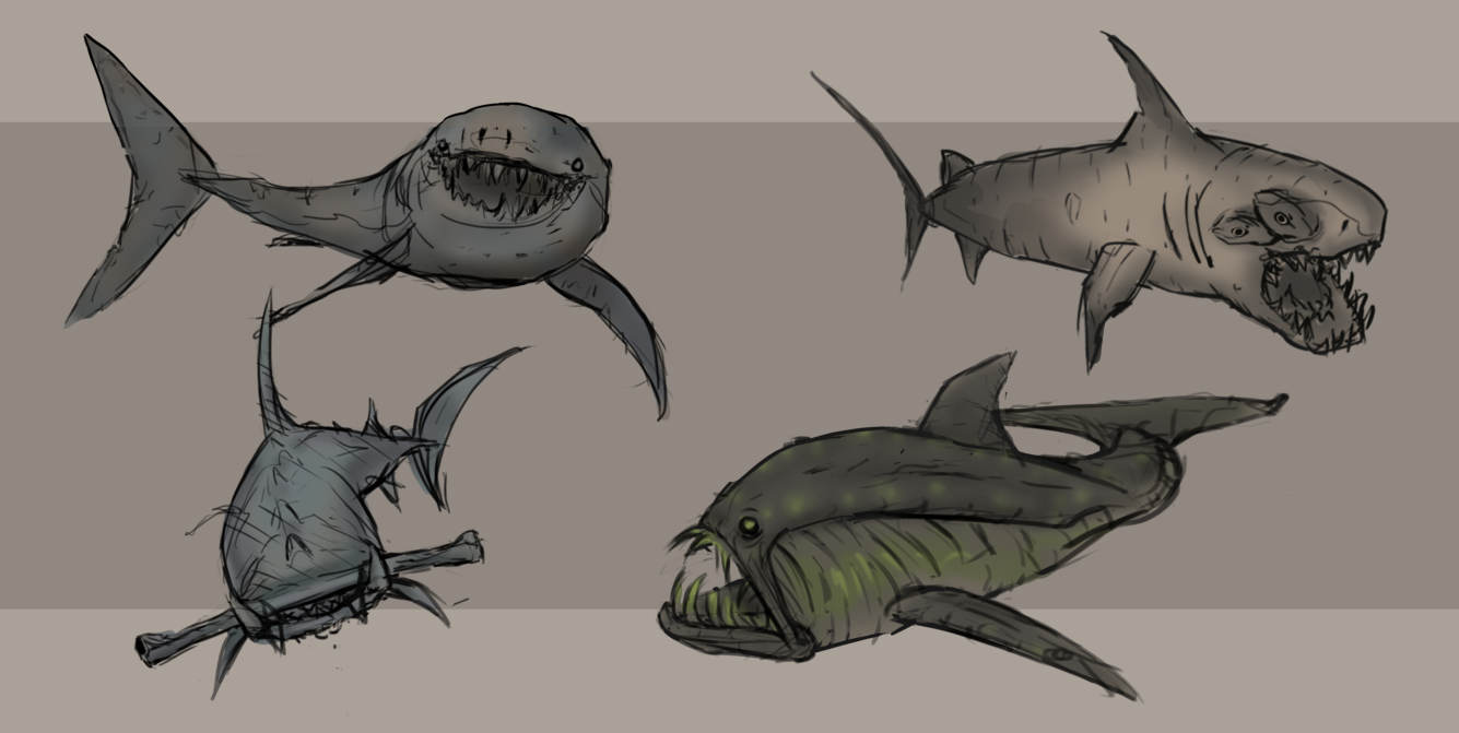 Sketches of sea creature